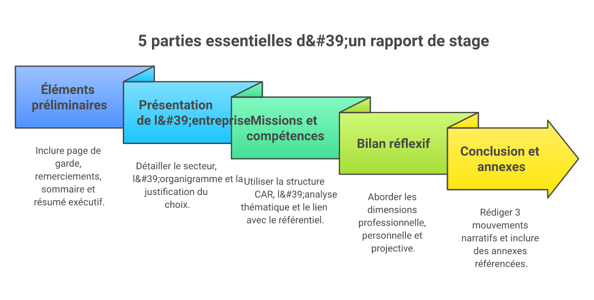 Infographie comment structurer un rapport de stage - Points clés et méthodologie