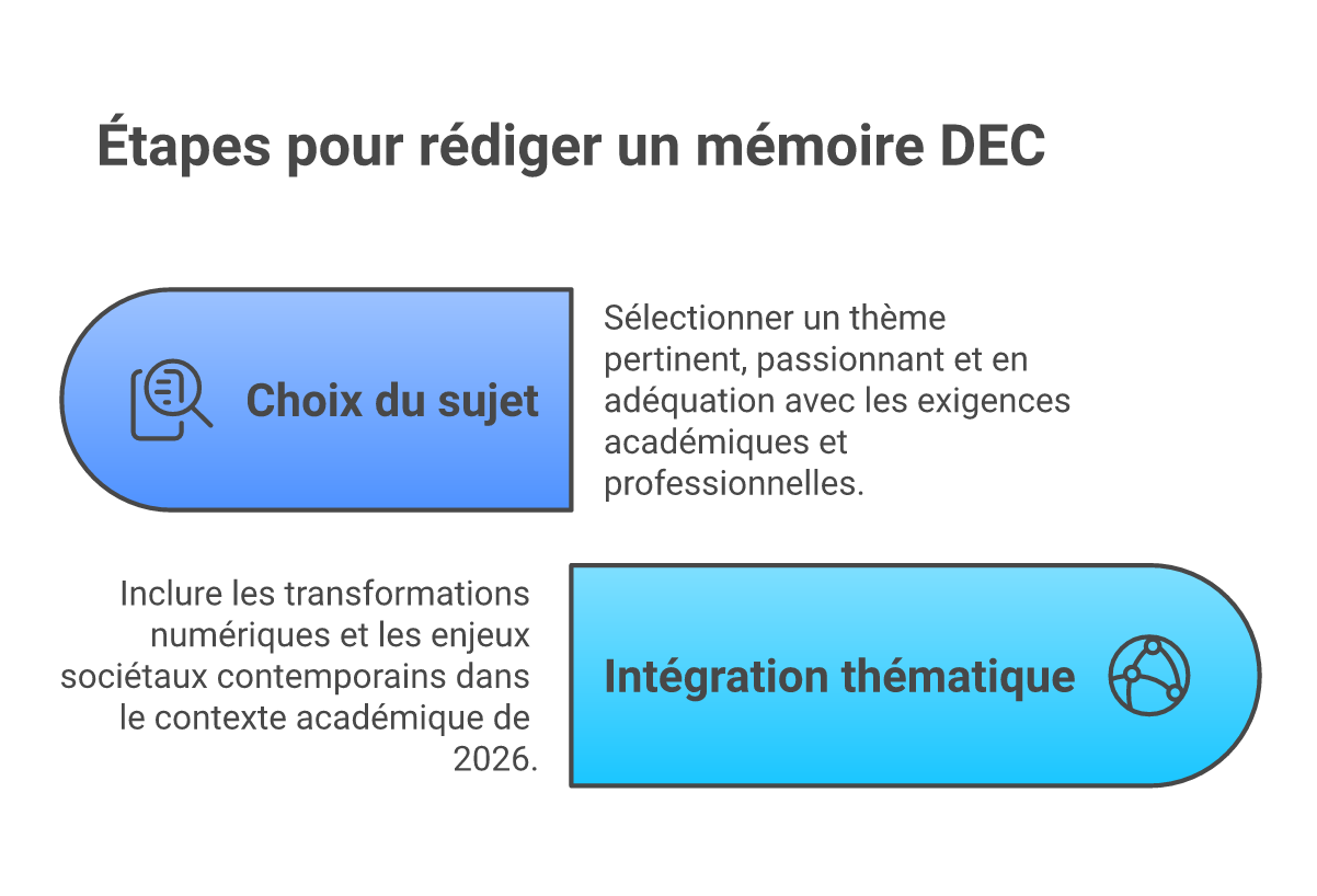 Infographie - mémoire DEC